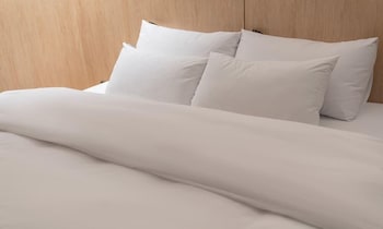 siheung brown dot jeongwang