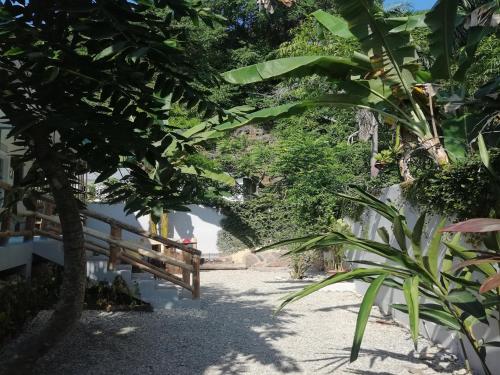 house jardin del caribe