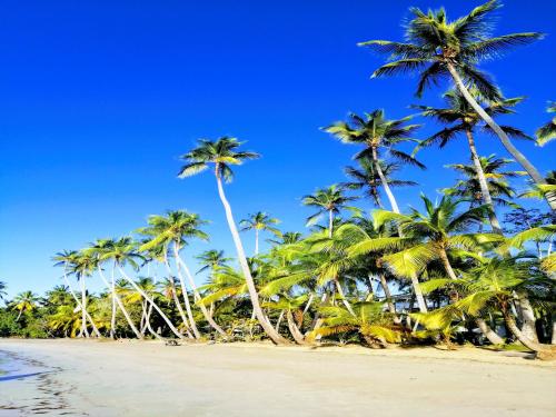 house jardin del caribe