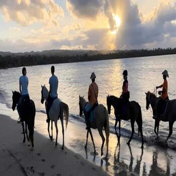 las terrenas