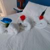 house jardin del caribe