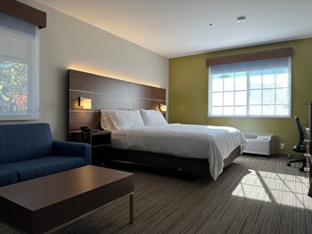 holiday inn express and suites mountain view