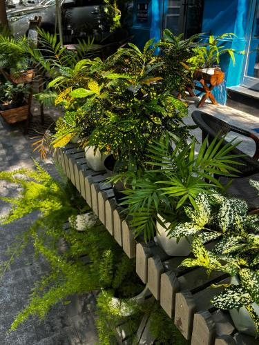 laputa hotel phu quoc