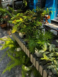 laputa hotel phu quoc