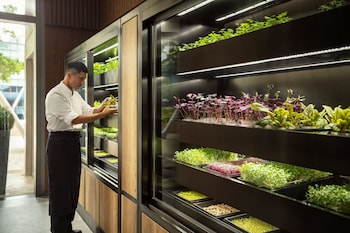 le meridien hong kong cyberport