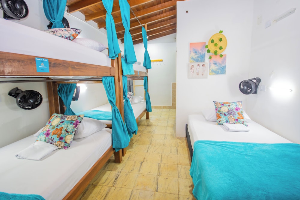 spring hostel