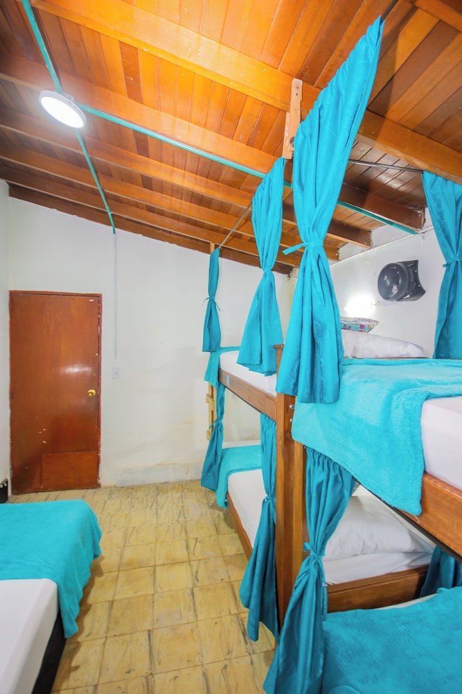 spring hostel