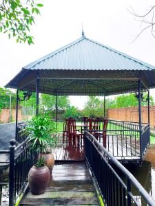 hoa lu