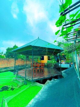 hoa lu
