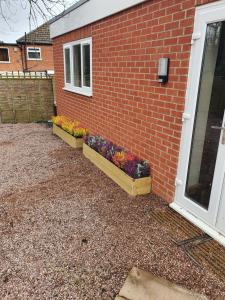 umbrella properties apartment birmingham