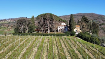 azienda agricola frascole