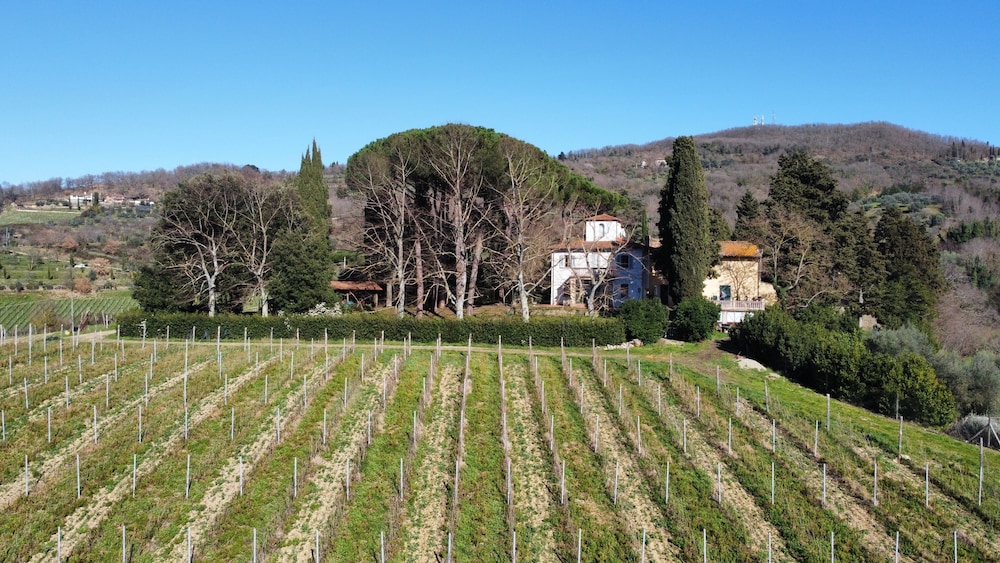 azienda agricola frascole