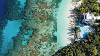 kimpton grand roatan resort and spa an ihg hotel