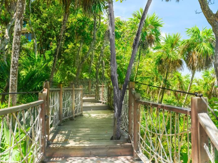kimpton grand roatan resort and spa an ihg hotel