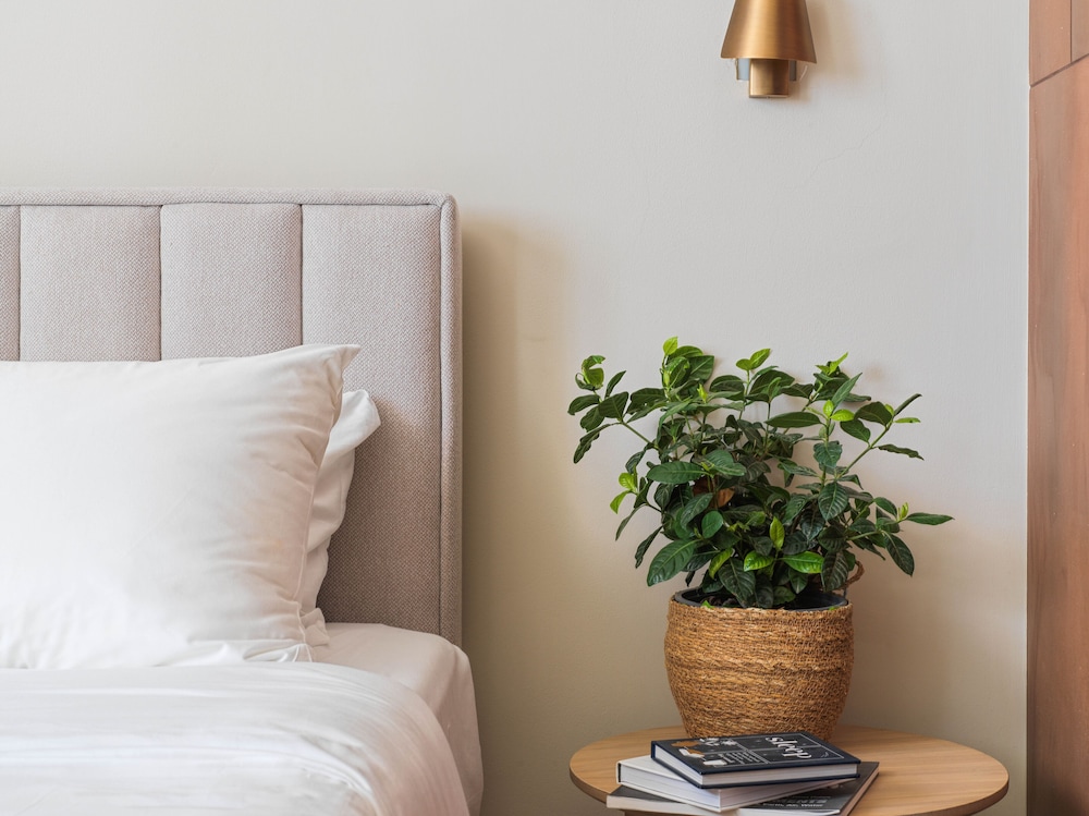 liv mackenzie beach suites