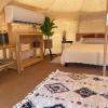 glamping 420