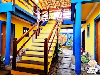 conchas de paraty