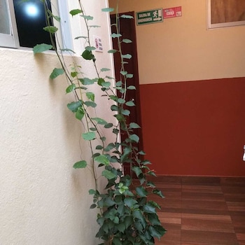 hostal downtown quito