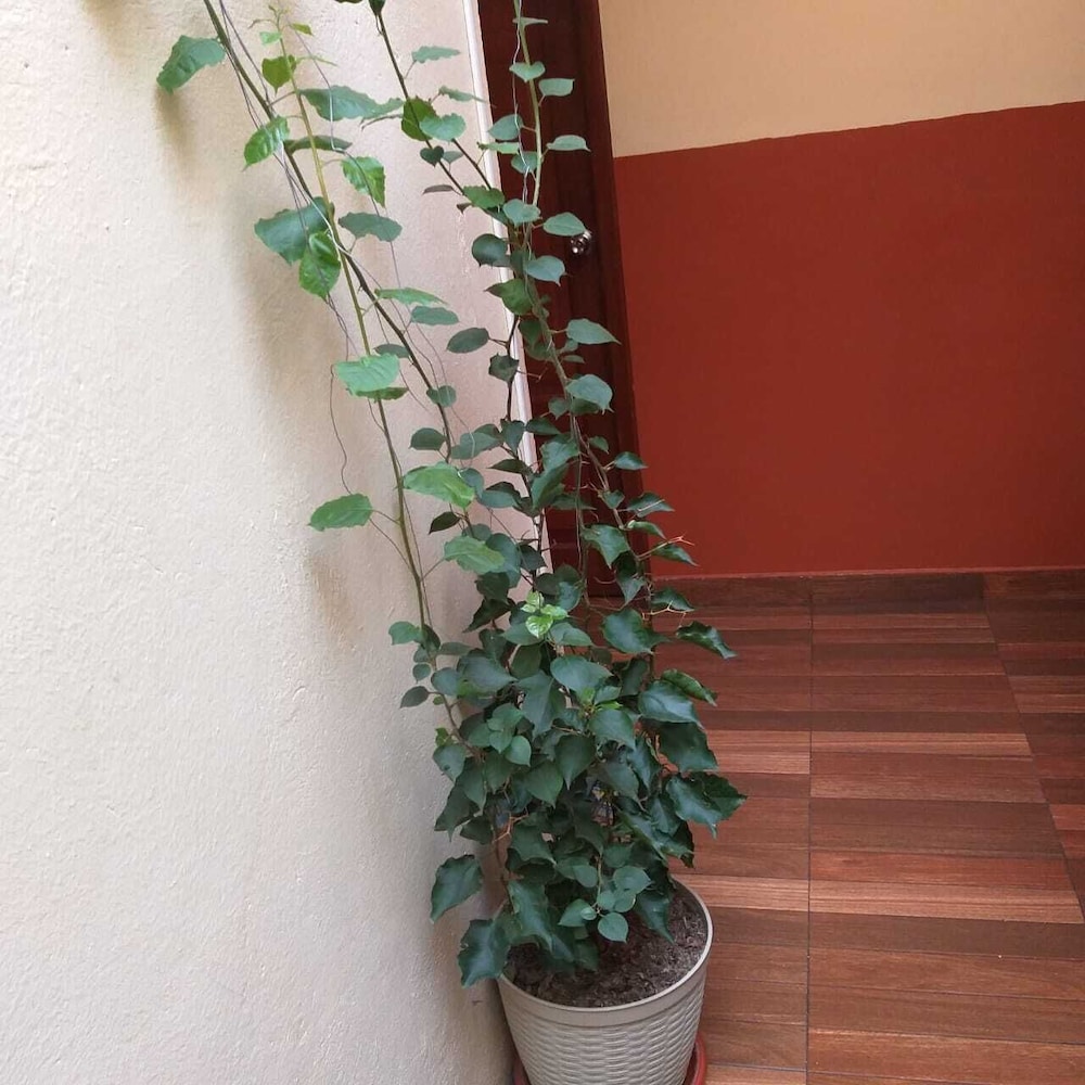 hostal downtown quito