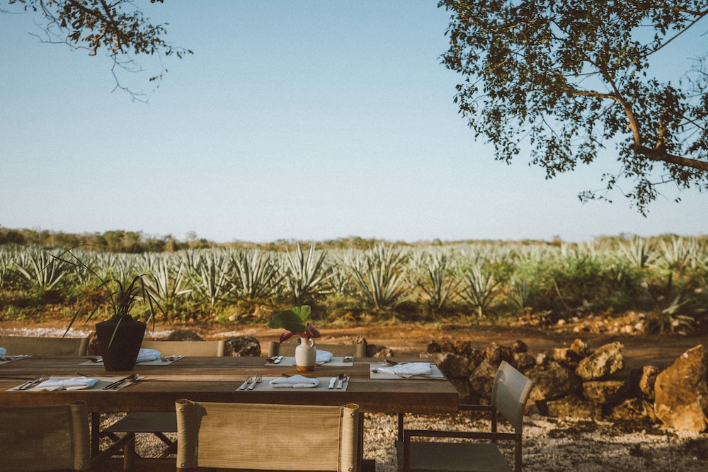 viatura sotuta de peon yucatan merida all inclusive