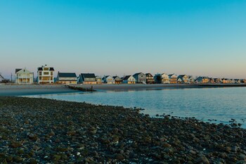dune fairfield beach