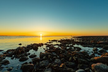 Dune Fairfield Beach,New Haven>>Fairfield,0 star