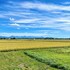 large higashikawa