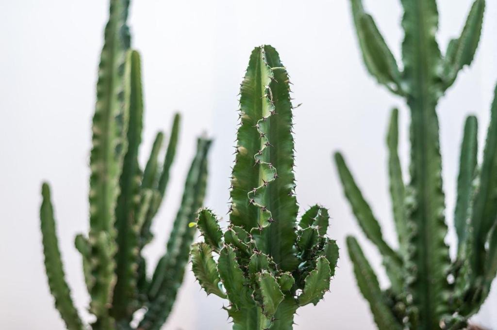 La Maison De Jean By Maison Bacou,France>>Carcassonne,0 star