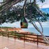 lyttos bungalows