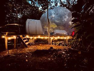 glamping amazonas