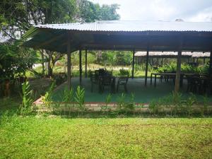 glamping amazonas