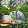 glamping amazonas