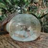 glamping amazonas