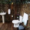 glamping amazonas