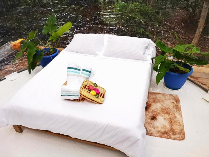 glamping amazonas