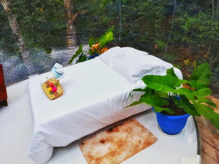 glamping amazonas