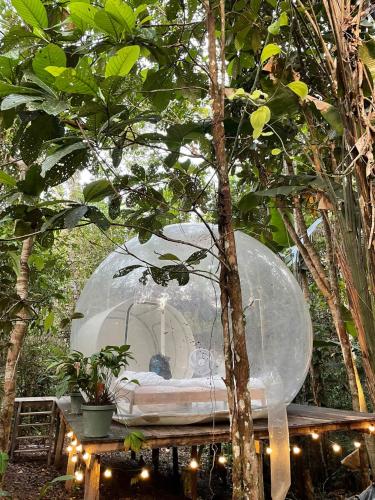 glamping amazonas