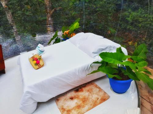 glamping amazonas