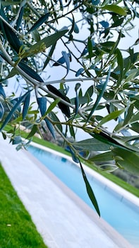 bandb villa maggi