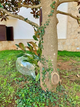 locorotondo