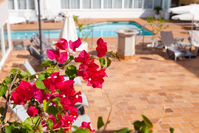 palma beach hotel adults only
