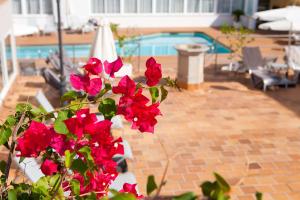 palma beach hotel adults only
