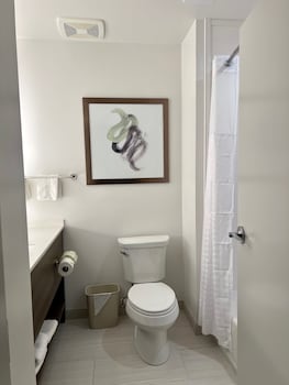 comfort suites st augustine historic district area