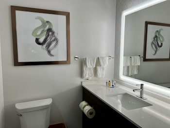 comfort suites st augustine historic district area