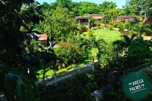 port antonio