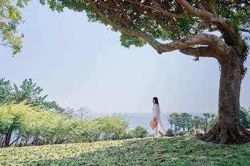 jw marriott jeju resort and spa