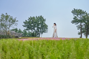 jw marriott jeju resort and spa