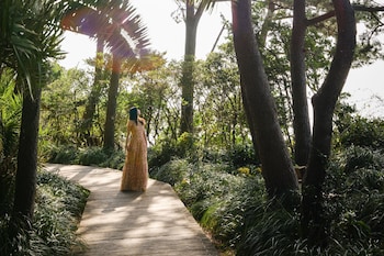 jw marriott jeju resort and spa