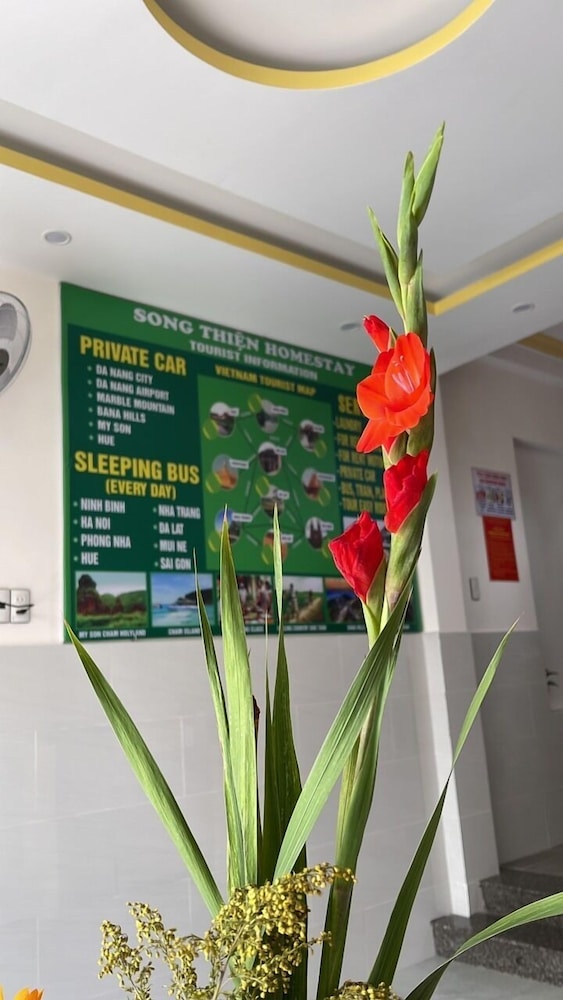homestay song thien