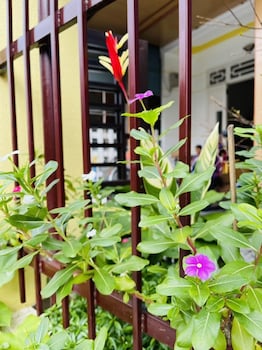 homestay song thien